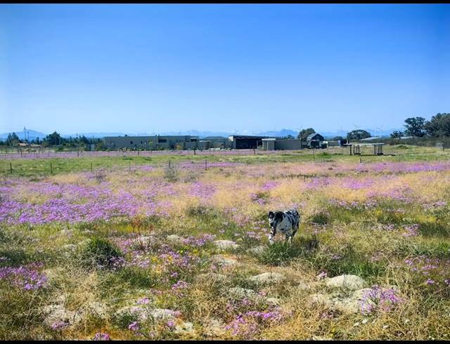 LAND FOR SALE IN HARTEBEESFONTEIN